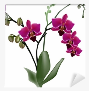 Dark Pink Orchid Branch With Four Flowers Wall Mural - Orchidej Taška