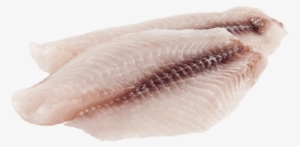 Download - Fish