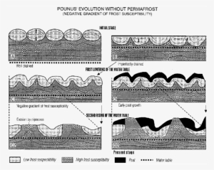 Sketch Of The Evolution Of Pounus - Architecture