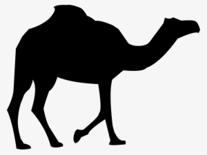 Camel Transparent Png - Camel Silhouette