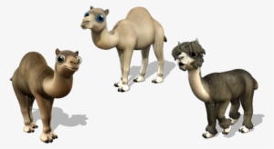 [ Img] - Farmerama Camel