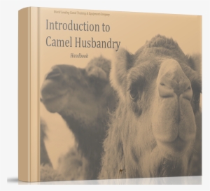 Camel Husbandry Book How To Care For Camels - Camel