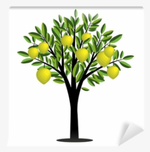 Lemon Tree Vector