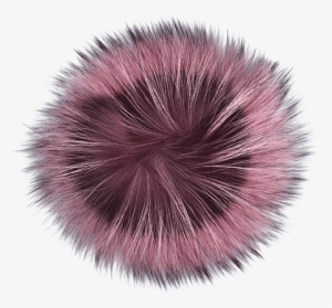 Pink - Sea Urchin