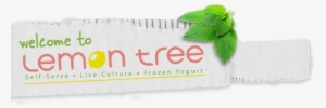 Return To Home - Lemon Tree Frozen Yogurt