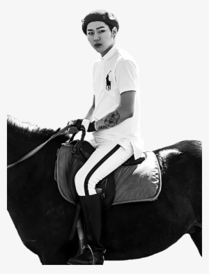 Zico Riding A Horse For Your Blog - Zico