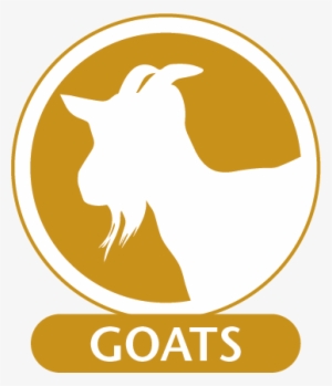 Monoclonal Antibodies For Use In Goats
