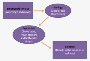 expression feeling link - facial feedback theory of emotion psychology