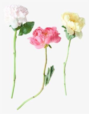 Transparent-flowers - Flowers Tumblr Png