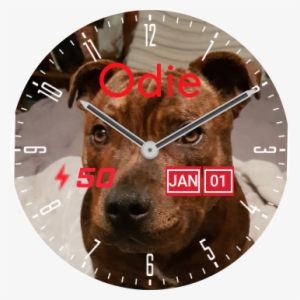 Odie Preview