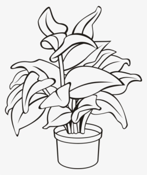 Flowerpot Houseplant Plants Leaf - Potted Plant Clipart Black And White