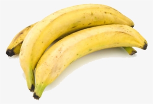 Plantain Medium - Cooking Banana