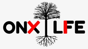 The Onyx Life - 5'x7'area Rug