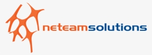 Neteam Solutions Logo - Motiondsp
