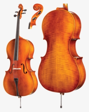 A31 Cello Outfit Intermediate By Core Academy - Cello