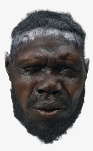 H Sapiens Male F3 29189 H66jq4 - Stone Age Modern Humans