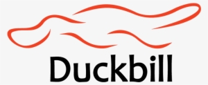 Diffusion Of Information - Duckbill