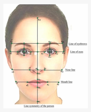 Identification Points On The Face Of Human - Symmetry In Human Face