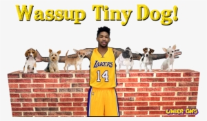 Introducing Tiny Dog, Brandon Ingram Smiley Gif Lakers - Brandon Ingram Tiny Dog