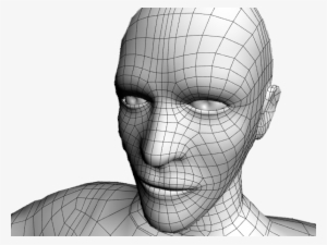 The - Low Poly 3d Face Wireframe