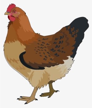 Gallina