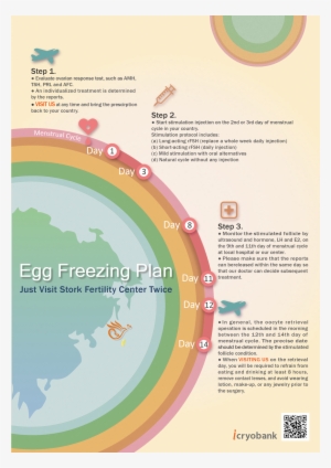 The Procedure Of Egg Freezing - Brochure