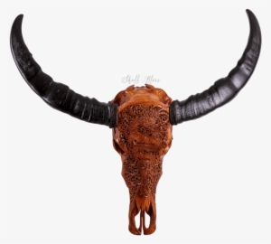 Carved Buffalo Skull - Buffalo Horn Png