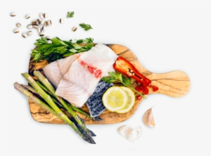 Barramundi Fish