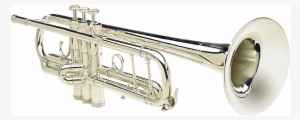Shires Q10 Professional Trumpet - S.e. Shires Model B Bb Trumpet B-sp Silver