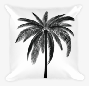 Black Palm Square Pillow - Ombre Home Strobe Wall Canvas