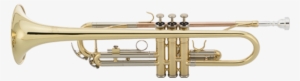 Tr-430 - Trumpet - Trumpet
