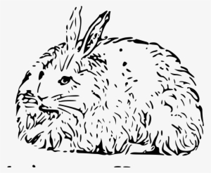 Rabbit - Angora Rabbit In Cartoon