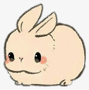 rabbit rabit animal pet kawaii cute - cute bunny drawing easy
