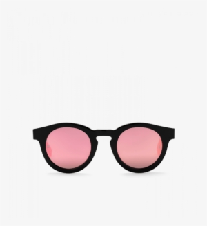 Put The Lime In The Coconut Sunglasses