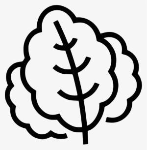 Png File - Icon