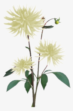 Jacey-light Yellow Dahila Plant Texture - Texture Plants Second Life Png
