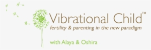 Conscious Conception, Pregnancy, Birth And Beyond - Fertilisation