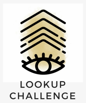 Lookupchalenge - Face