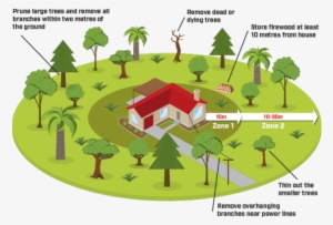 Risk Of Fire And Must Take Precautions To Protect Their - Tree