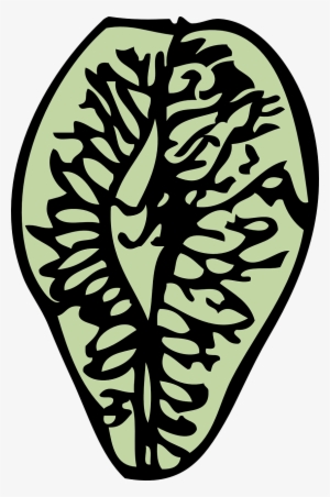 elm seed tree - clip art