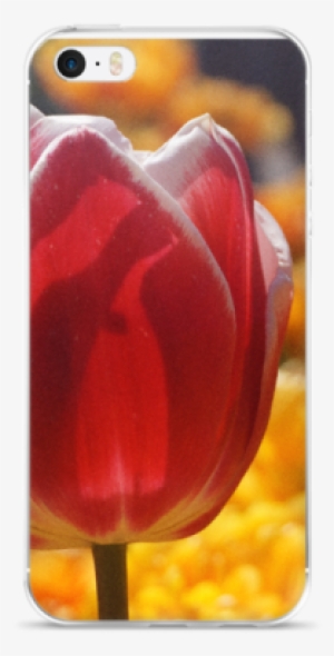 Red Tulip Iphone Case - Iphone