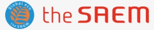 Star Acc - Logo The Saem