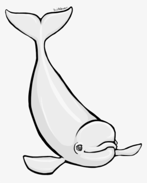 Beluga Whale By Brittlebear On Clipart Library - Beluga Clipart