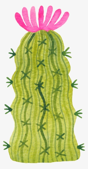 A Thorny Cactus Png Transparent - Portable Network Graphics