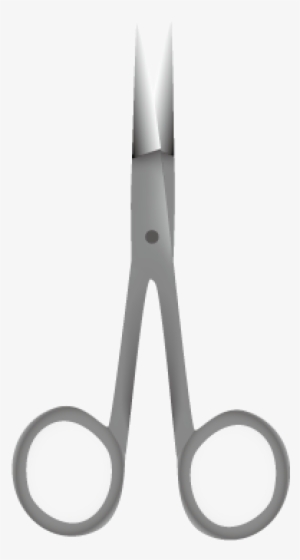 Delicate Dissecting Scissors - Scissors