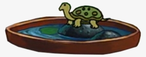 Sandy's Turtle - Chelonoidis