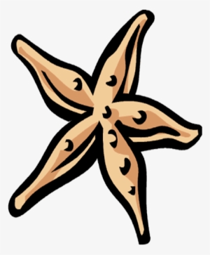 Starfish - Illustration