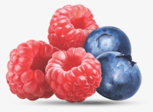 Raspberry Blueberry - Blueberry