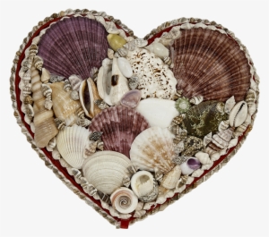 Seashell Jewelry Heart Shaped Box 7x8" - Seashell Shell Jewelry Heart Shaped Box 7x8"