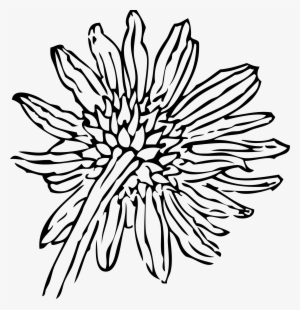 This Free Icons Png Design Of Back Of A Sunflower